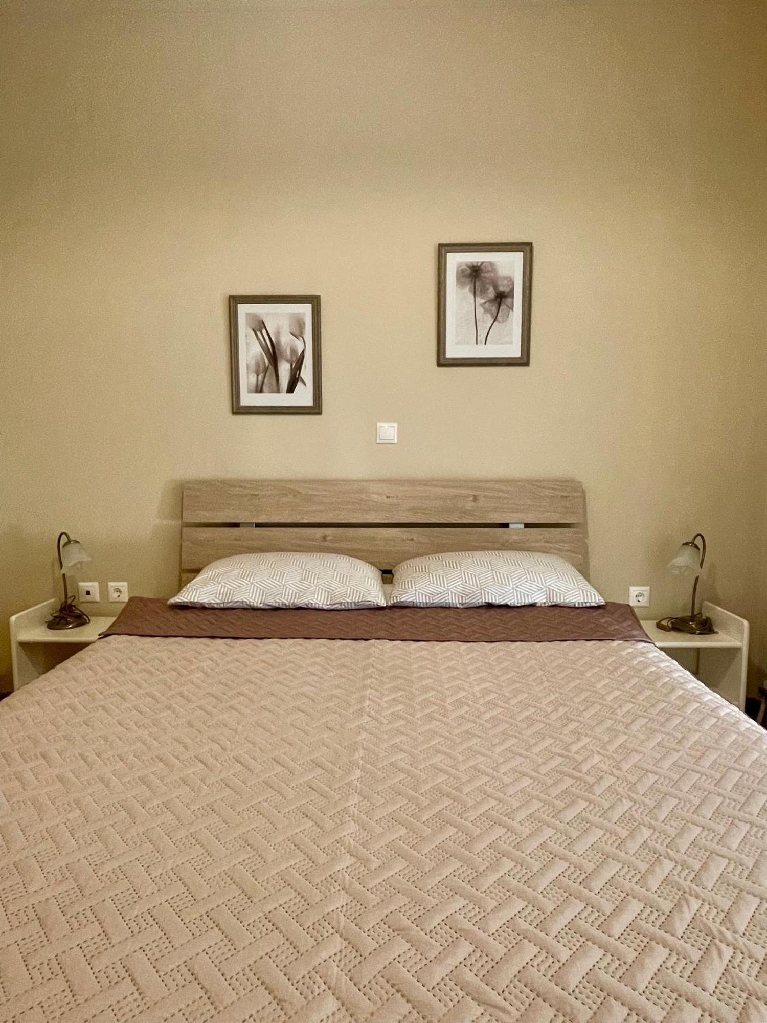 Camelia Apartment