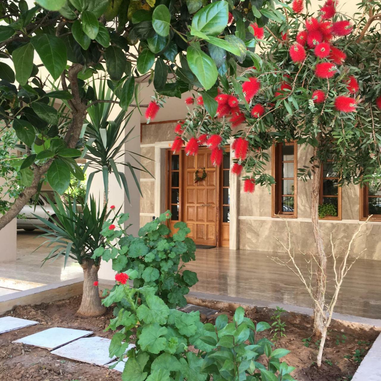 Camelia